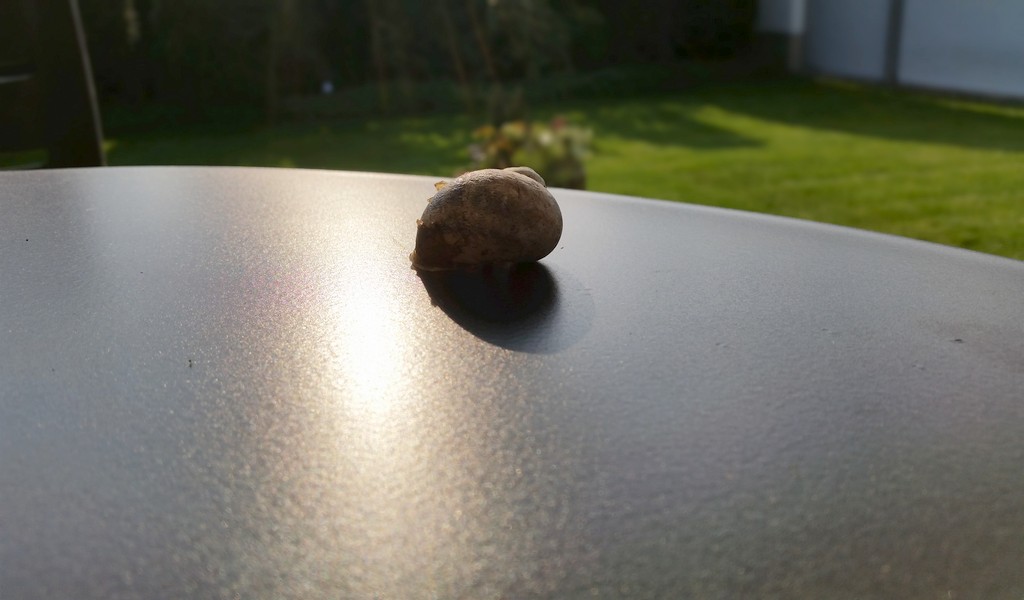 DallKlick